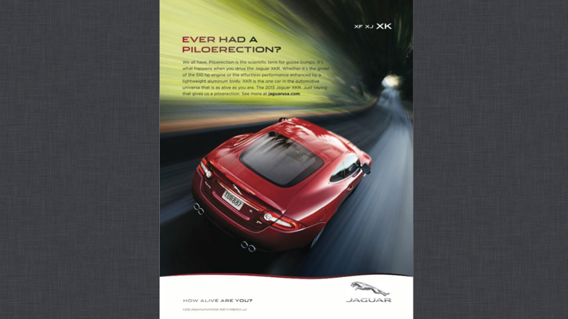 Illustration for article titled Jaguar Ads Are A Gallery For Fine Cars